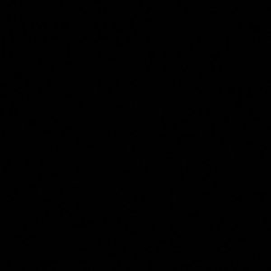 Meet your Posher, Conner